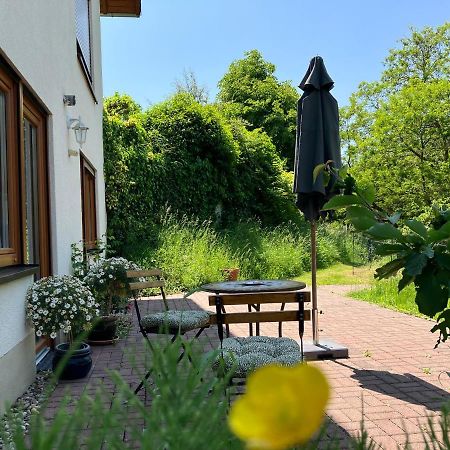 Ferienwohnung Im Moselland Maring-Noviand Екстер'єр фото